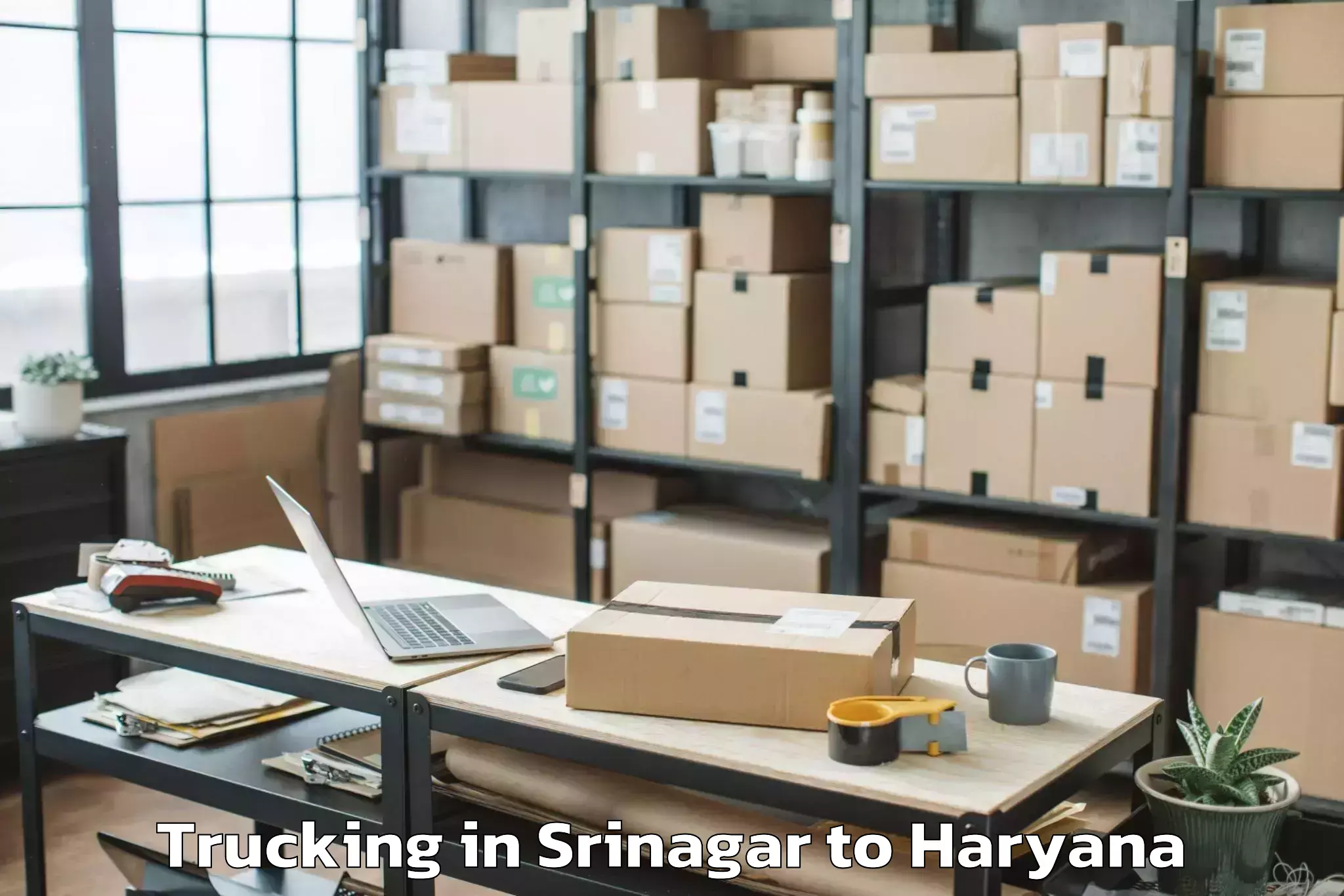 Get Srinagar to Mvn University Palwal Trucking